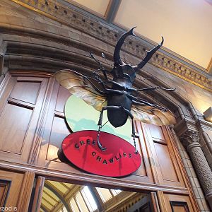 Entrance to the Creepy Crawlies Area - NHM London