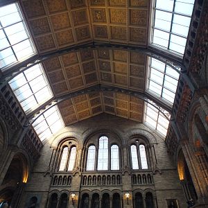 Hintze Hall- NHM London