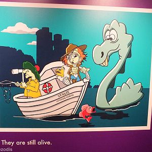 Alternate Theory on Dinosaur Extinction - NHM London