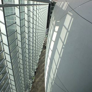 The Darwin Centre and the Cocoon - NHM London