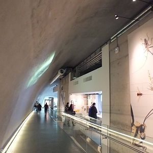 View in the Cocoon - NHM London