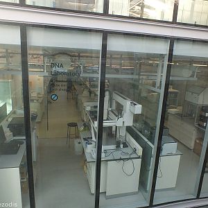 Window into the DNA Laboratory - NHM London