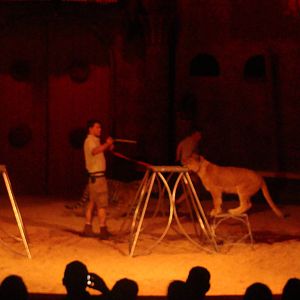 Bowmanville zoo-May 2015