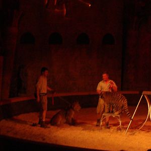 Bowmanville zoo-May 2015