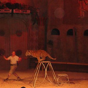 Bowmanville zoo-May 2015