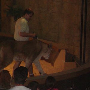 Bowmanville zoo-May 2015