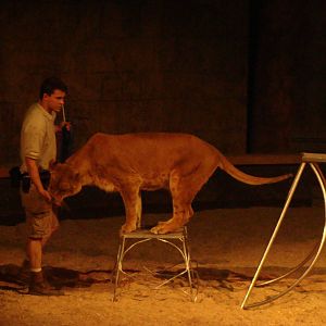 Bowmanville zoo-May 2015