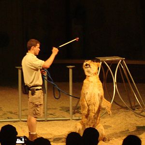 Bowmanville zoo-May 2015