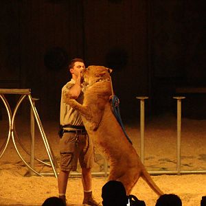 Bowmanville zoo-May 2015