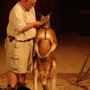 Bowmanville zoo-May 2015