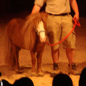 Bowmanville zoo-May 2015