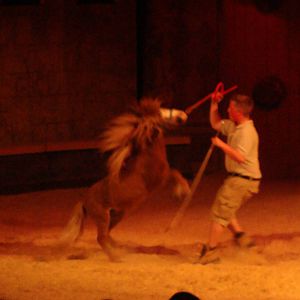 Bowmanville zoo-May 2015