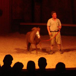 Bowmanville zoo-May 2015