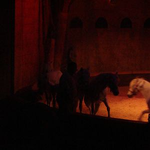 Bowmanville zoo-May 2015