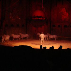 Bowmanville zoo-May 2015