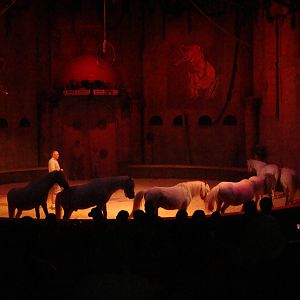 Bowmanville zoo-May 2015