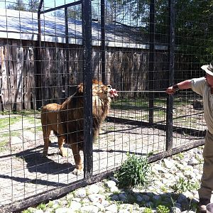 Bowmanville zoo-May 2015
