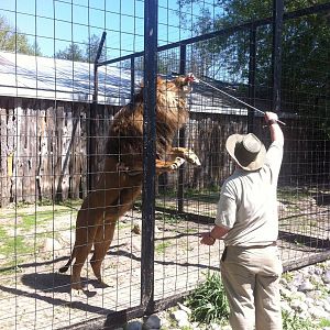 Bowmanville zoo-May 2015