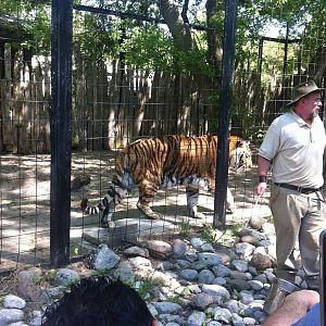 Bowmanville zoo-May 2015