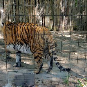 Bowmanville zoo-May 2015