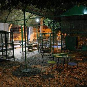 Cages at night, October 2015
