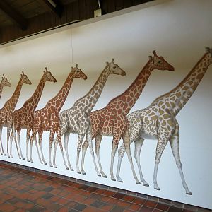 Giraffe Patterns Part 2 of 2