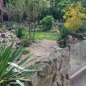 Outdoor enclosure European herps