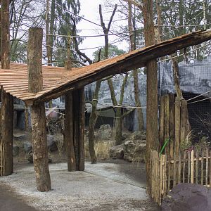 New siamang enclosure