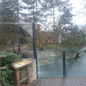 North American otter enclosure