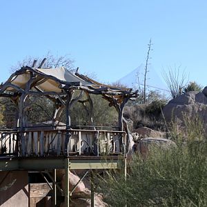 Overlook with aviary behind