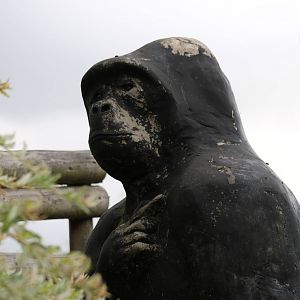 Hooded gorilla statue, September 2015
