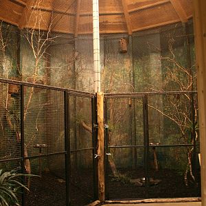 Aviary inside the mandrilhouse