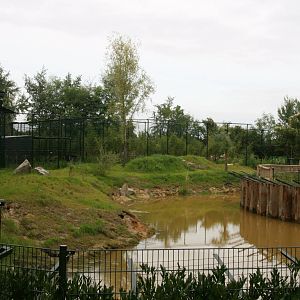 first white tiger exhibit