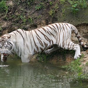 I really don't like going in to water