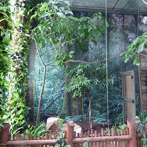 Treasures of the Rainforest - Guam Kingfisher Exhibit