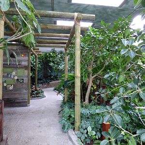 Treasures of the Rainforest