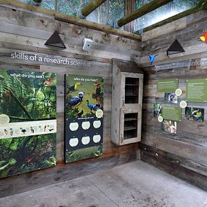 Treasures of the Rainforest