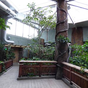 Treasures of the Rainforest