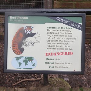 Small Mammal House - Red Pandas coming to a Smithsonian National zoo near y
