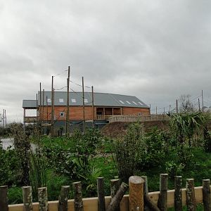 Gibbon Forest Tuesday 22nd December 2015 - 1 of 16 (sorry!)