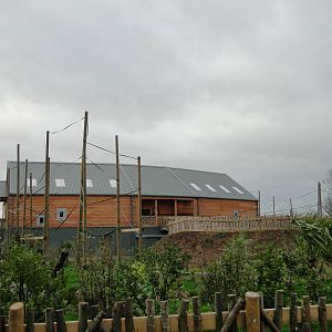 Gibbon Forest Tuesday 22nd December 2015 - 2 of 16