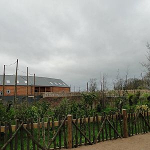 Gibbon Forest Tuesday 22nd December 2015 - 3 of 16