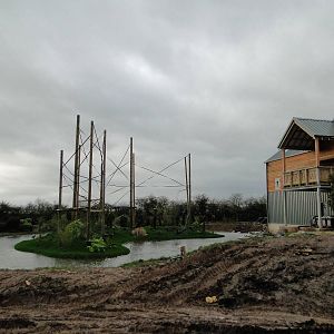 Gibbon Forest Tuesday 22nd December 2015 - 4 of 16