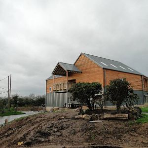 Gibbon Forest Tuesday 22nd December 2015 - 5 of 16