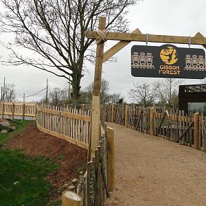 Gibbon Forest Tuesday 22nd December 2015 - 8 of 16