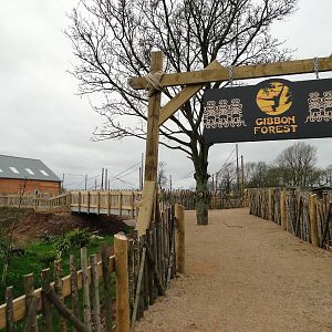 Gibbon Forest Tuesday 22nd December 2015 - 9 of 16