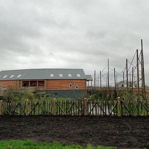 Gibbon Forest Tuesday 22nd December 2015 - 11 of 16