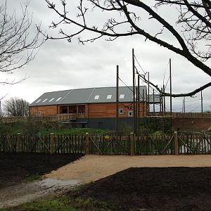 Gibbon Forest Tuesday 22nd December 2015 - 12 of 16