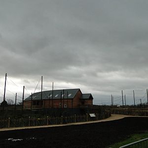 Gibbon Forest Tuesday 22nd December 2015 - 13 of 16