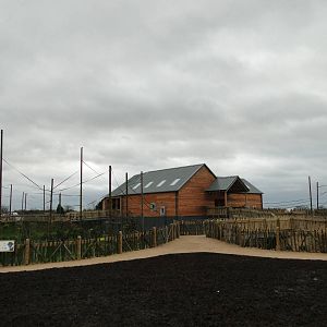 Gibbon Forest Tuesday 22nd December 2015 - 14 of 16